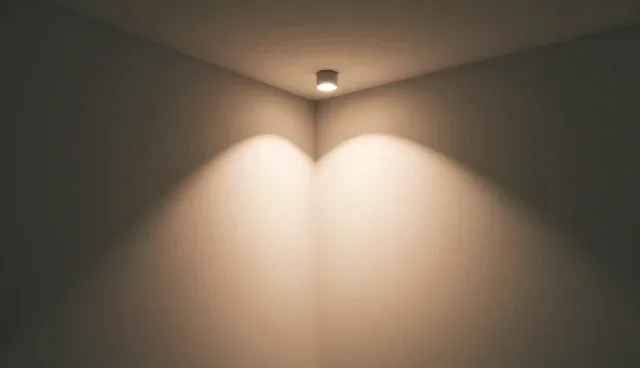 技术转让在何种情况下适用或受限