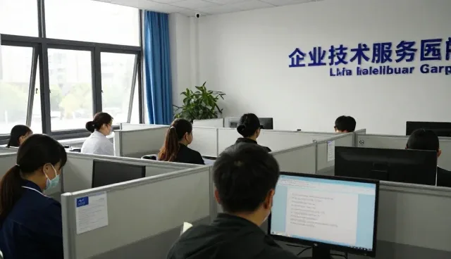 全流程技术支持在能力建设中的实际应用与挑战